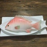 Maxbell Simulation Fish for Home Decor, Market Display, Photography Prop Pink