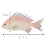 Maxbell Simulation Fish for Home Decor, Market Display, Photography Prop Pink