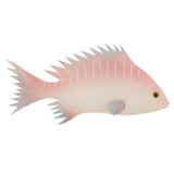 Maxbell Simulation Fish for Home Decor, Market Display, Photography Prop Pink