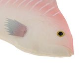 Maxbell Simulation Fish for Home Decor, Market Display, Photography Prop Pink