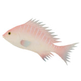 Maxbell Simulation Fish for Home Decor, Market Display, Photography Prop Pink