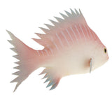Maxbell Simulation Fish for Home Decor, Market Display, Photography Prop Pink