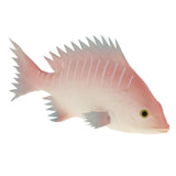 Maxbell Simulation Fish for Home Decor, Market Display, Photography Prop Pink