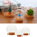 Maxbell  Glass Ball Shaped Cover Landscape Terrarium Container Lid Vase Bottle 12cm