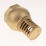 Maxbell Heavy Duty Brass Foot Valve Female Threaded Water Pump Bottom Valve  DN50