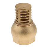 Maxbell Heavy Duty Brass Foot Valve Female Threaded Water Pump Bottom Valve  DN50