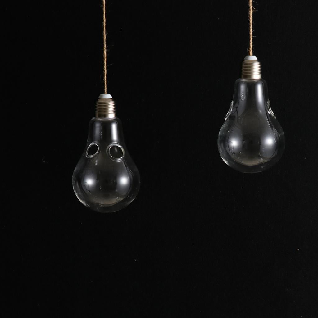 Maxbell  2Pcs Clear Glass Bulb Hanging Plant Flower Vase Hydroponic Container Bottle