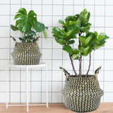 Max Foldable Storage Basket Straw Woven Flower Basket Flowerpot Garden Planter 2