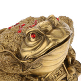 Maxbell Feng Shui Money Lucky Fortune Oriental Chinese Wealth Frog Toad Figurine M
