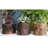 Maxbell Tree Stump Wooden Flower Vase Succulent Plants Bonsai Pot Candle Holder S