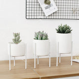 Maxbell Iron Plant Stand Garden Planter Succulent Flower Pot Shelf Rack White S