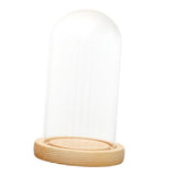 Mini Clear Glass Hemisphere Cover Dome Cabochon With Cork Decor 10 x 25cm