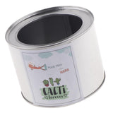 Maxbell Metal Succulent Cactus Flower Pot Vase Flower Pitcher for Home Decoration S