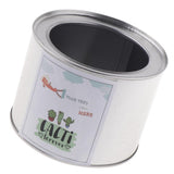 Maxbell Metal Succulent Cactus Flower Pot Vase Flower Pitcher for Home Decoration S