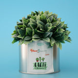 Maxbell Metal Succulent Cactus Flower Pot Vase Flower Pitcher for Home Decoration S