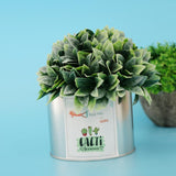 Maxbell Metal Succulent Cactus Flower Pot Vase Flower Pitcher for Home Decoration S