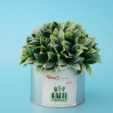 Maxbell Metal Succulent Cactus Flower Pot Vase Flower Pitcher for Home Decoration S