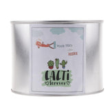 Maxbell Metal Succulent Cactus Flower Pot Vase Flower Pitcher for Home Decoration S