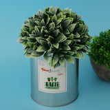 Maxbell Metal Succulent Cactus Flower Pot Vase Flower Pitcher for Home Decoration M