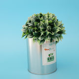 Maxbell Metal Succulent Cactus Flower Pot Vase Flower Pitcher for Home Decoration M