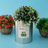 Maxbell Metal Succulent Cactus Flower Pot Vase Flower Pitcher for Home Decoration M