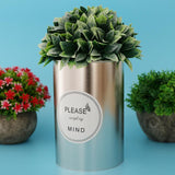 Maxbell Metal Succulent Cactus Flower Pot Vase Flower Pitcher for Home Decoration L