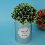 Maxbell Metal Succulent Cactus Flower Pot Vase Flower Pitcher for Home Decoration L