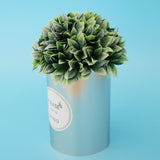 Maxbell Metal Succulent Cactus Flower Pot Vase Flower Pitcher for Home Decoration L