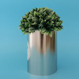 Maxbell Metal Succulent Cactus Flower Pot Vase Flower Pitcher for Home Decoration L