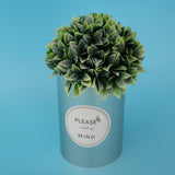 Maxbell Metal Succulent Cactus Flower Pot Vase Flower Pitcher for Home Decoration L