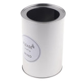 Maxbell Metal Succulent Cactus Flower Pot Vase Flower Pitcher for Home Decoration L