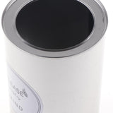 Maxbell Metal Succulent Cactus Flower Pot Vase Flower Pitcher for Home Decoration L