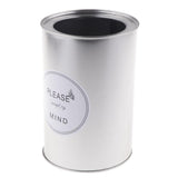 Maxbell Metal Succulent Cactus Flower Pot Vase Flower Pitcher for Home Decoration L