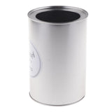 Maxbell Metal Succulent Cactus Flower Pot Vase Flower Pitcher for Home Decoration L