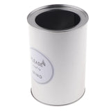 Maxbell Metal Succulent Cactus Flower Pot Vase Flower Pitcher for Home Decoration L