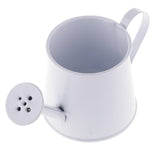 Pastoral Style Colorful Tin Flower Pot Mini Bonsai Watering Can Pot White