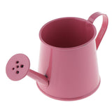 Pastoral Style Colorful Tin Flower Pot Mini Bonsai Watering Can Pot Pink