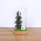 Maxbell  Clear Glass Cloche Dome Cover Landscape Terrarium Container with Wood Base S