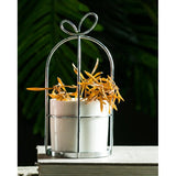Maxbell Wrought Iron Geometric Hanging Succulent Air Plants Triangle Flower Rack Silver_L