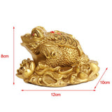Max Traditional Chinese Feng Shui Lucky Money 3 Legs Toad Frog Decor Figurines S