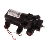 Max 3.5L/min Agricultural Electric Water Pump Micro High Pressure Sprayer 12V Double Hose - Aladdin Shoppers