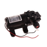 Max 3.5L/min Agricultural Electric Water Pump Micro High Pressure Sprayer 12V Double Hose - Aladdin Shoppers