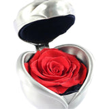 Max Handmade Preserved Flower Rose Valentine's Day Gift Red-Silver - Aladdin Shoppers