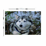 Max Animal Tapestry Wall Hanging for Bedroom Living Room Backdrop Decorations 7 - Aladdin Shoppers