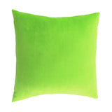 Max Decorative Throw Pillow Cover Velvet Cushion Cover Pillowcase Green 60 x 60cm