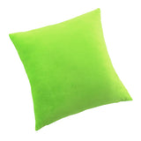 Max Decorative Throw Pillow Cover Velvet Cushion Cover Pillowcase Green 60 x 60cm