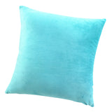 Max Decorative Throw Pillow Cover Velvet Cushion Cover Pillowcase Blue 50 x 50cm