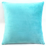 Max Decorative Throw Pillow Cover Velvet Cushion Cover Pillowcase Blue 50 x 50cm