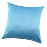 Max Solid Color Super Soft Cozy Velvet Sofa Pillowcover Light Blue_50x50cm - Aladdin Shoppers