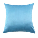 Max Solid Color Super Soft Cozy Velvet Sofa Pillowcover  Light Blue_50x50cm